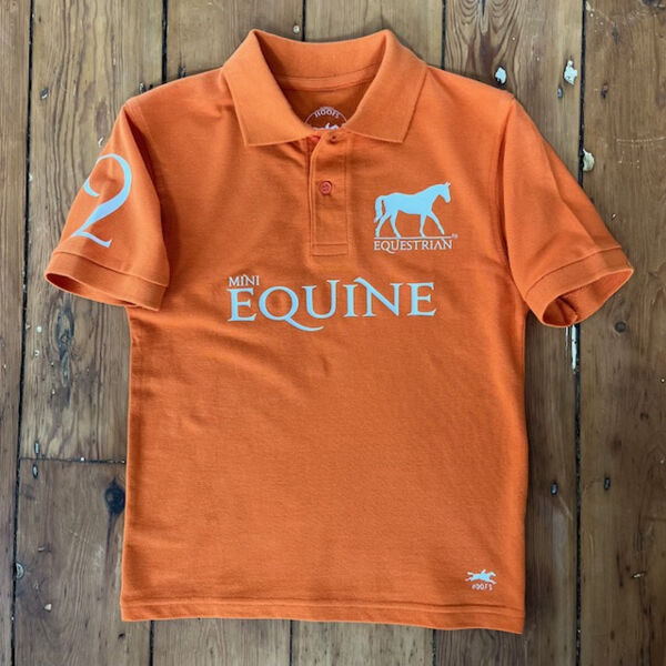 MINI EQUINE POLO Thumbnail